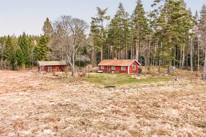 Bild av närområdet