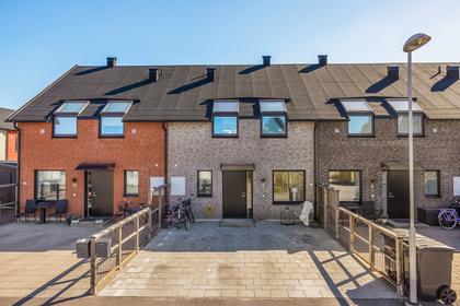 Bild av närområdet