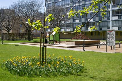 Bild av närområdet