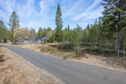 Bild av närområdet