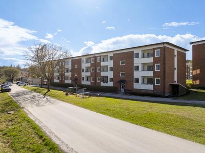 Bild av närområdet