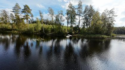 Bild av närområdet