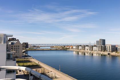 Bild av närområdet