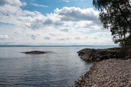 Bild av närområdet