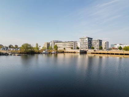 Bild av närområdet