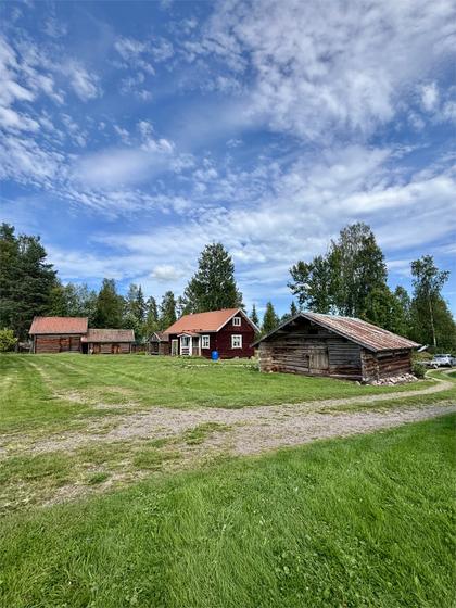 Bild av närområdet