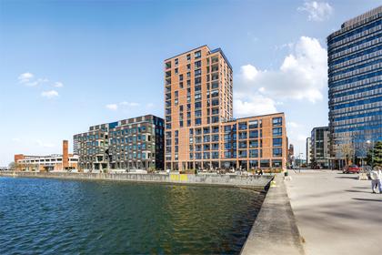 Bild av närområdet