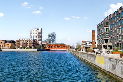 Bild av närområdet