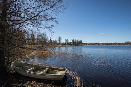 Bild av närområdet
