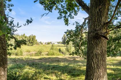 Burs Apse 614D, Burs