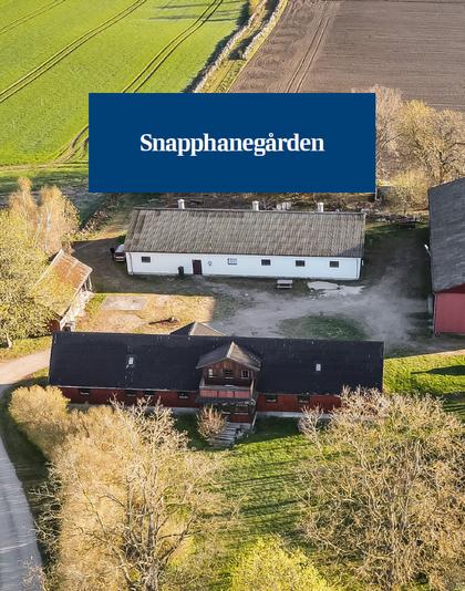 Bild av närområdet