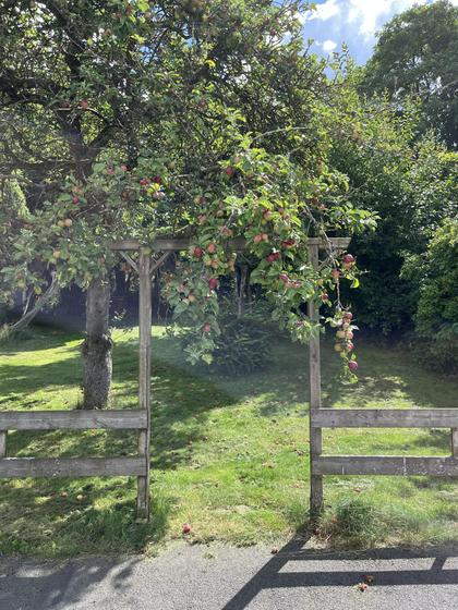 Exteriörbild