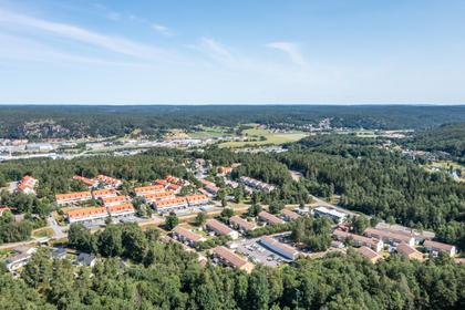 Bild av närområdet