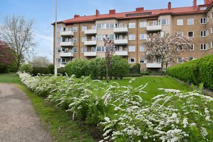 Exteriörbild