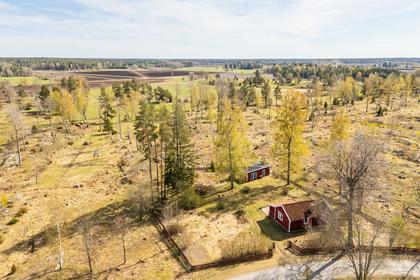 Bild av närområdet