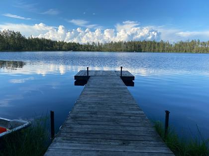 Bild av närområdet