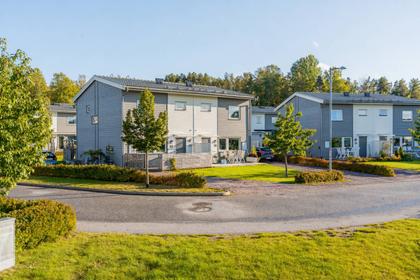 Bild av närområdet