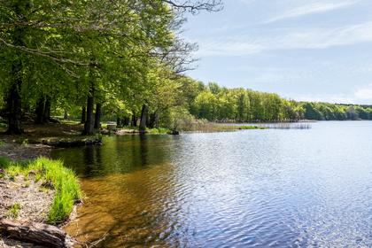 Bild av närområdet