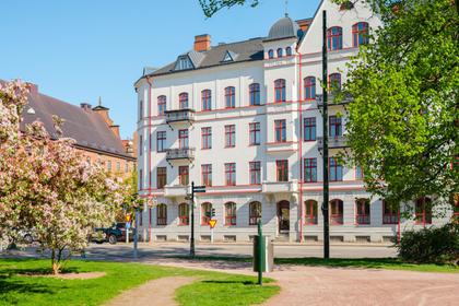 Östra Rönneholmsvägen 15, Davidshall