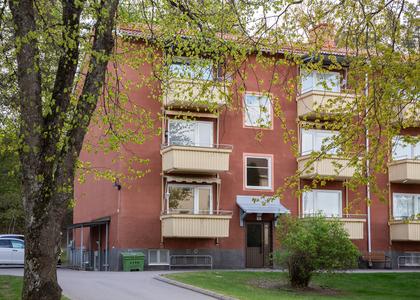 Vegagatan 4E, Vega