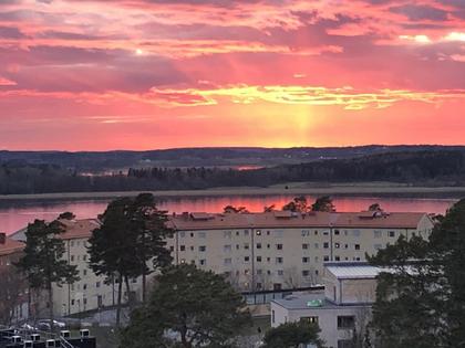 Bild av närområdet