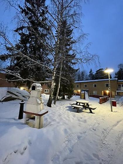 Bild av närområdet