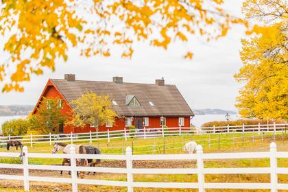 Illustrerad karta över fastigheten eller området