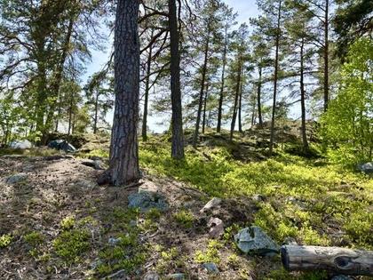 Djurgårdsvägen, Södra Lännersta