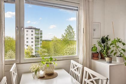 Kök eller matrum