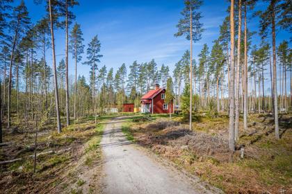 Bild av närområdet