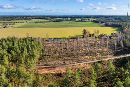 Bild av närområdet