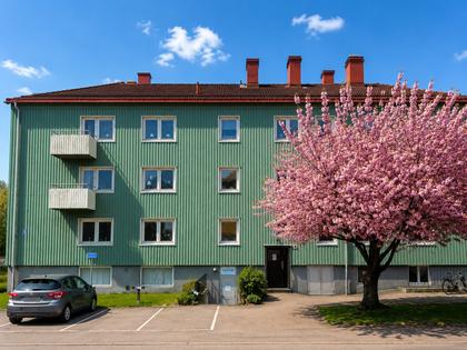 Exteriörbild