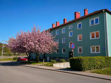 Exteriörbild