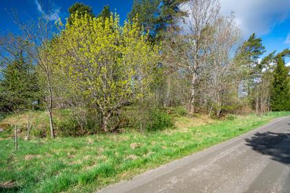 Lippinge 4, Knivsta