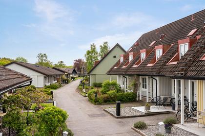 Bild av närområdet