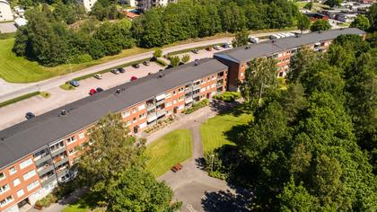 Bild av närområdet