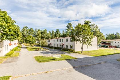 Bild av närområdet