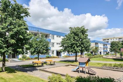 Bild av närområdet