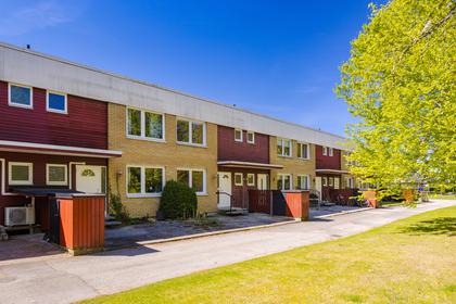 Bild av närområdet
