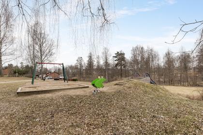Bild av närområdet