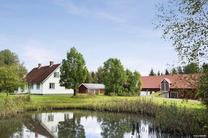 Bild av närområdet