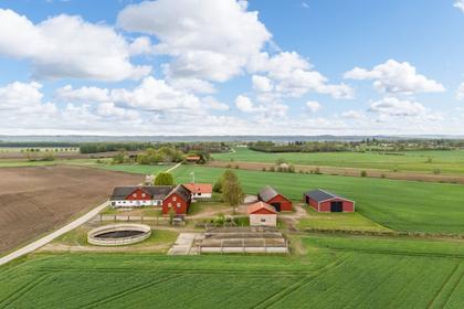 Bild av närområdet