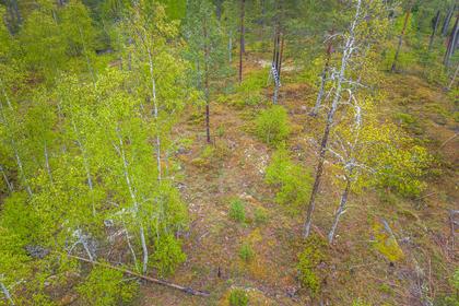 Illustrerad karta över fastigheten eller området