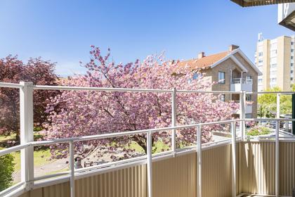 Mariedalsvägen 55C, Dammfri