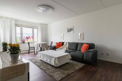 Barnhusgatan 30, Prippska Tomten