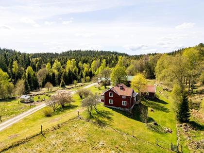 Bild av närområdet