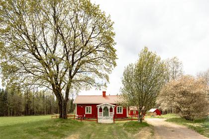 Bild av närområdet