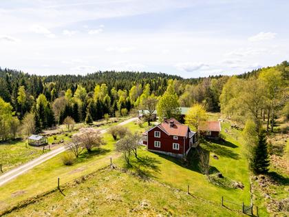 Bild av närområdet