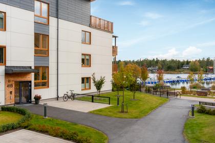 Bild av närområdet