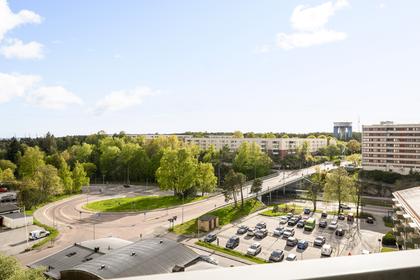 Bild av närområdet